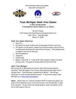Team Michigan Small Area Games