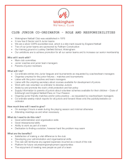 Example Volunteer Agreement