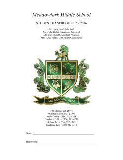 Meadowlark Middle School - Winston