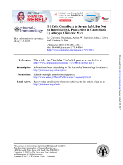 Ig Allotype Chimeric Mice to Intestinal IgA, Production in Gnotobiotic