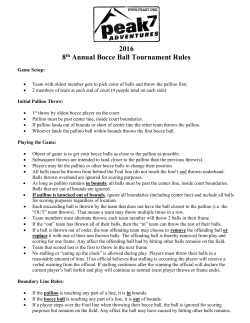 2016 8th Annual Bocce Ball Tournament Rules
