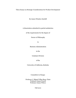 Three Essays on Strategic Considerations for Product Development