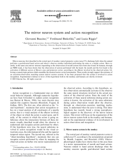 The mirror neuron system and action recognition