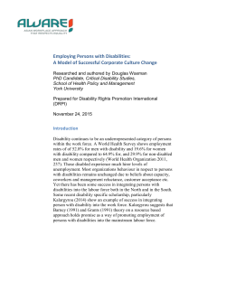 Employing Persons with Disabilities