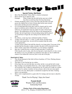 Special Turkey Ball Rules Thank You for Playing! Enjoy the Game