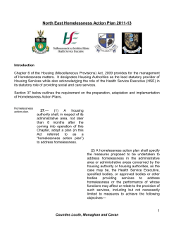 homelessness action plan shall be in writing and take account of