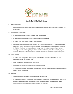 Adult Co-Ed Softball Rules