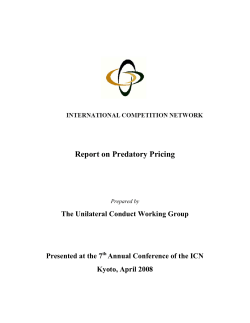 Report on Predatory Pricing - International Competition Network