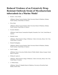 Reduced Virulence of an Extensively Drug resistant tb