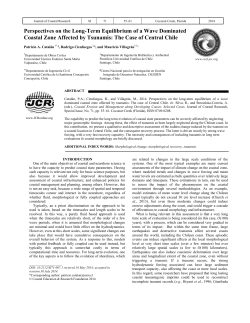 Perspectives on the Long-Term Equilibrium of a Wave Dominated