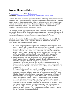 Figure 1: The VISA Model of Christo Nel