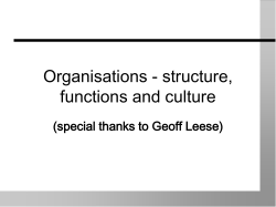 Organisations - structure, information and culture
