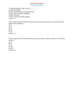 Essentials of Genetics Mitosis and Meiosis 1) During interphase of