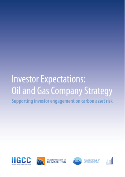 Investor Expectations: Oil and Gas Company Strategy