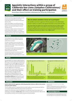 Sea Lion Poster_PORTRAIT_2
