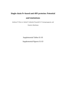 Single-Chain Fv-Based Anti-HIV Proteins: Potential and Limitations