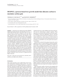 DESPOT, a process-based tree growth model that allocates carbon