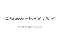 L2 Perception * How, What,Why?