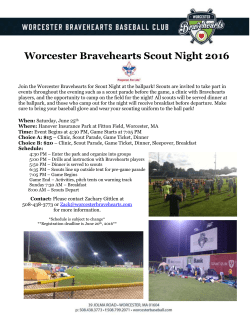 Scout Night Flyer 2016