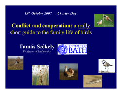 Conflict and cooperation