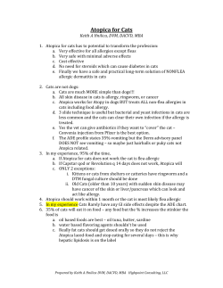 Atopica for Cats - The Itch Clinic