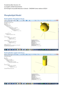 Phospholipid Bi-Layer &ndash; OpenSCAD directions