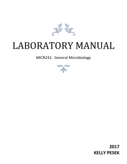 Laboratory Manual