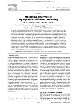 Obtaining information by dynamic (effortful) touching