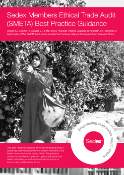 Sedex Members Ethical Trade Audit (SMETA) Best Practice Guidance