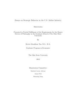 Essays on Strategic Behavior in the US Airline