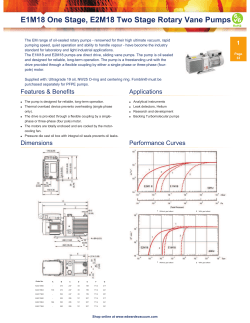 E1M18 One Stage, E2M18 Two Stage Rotary Vane Pumps