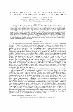 Some Ecological Notes on the Blue Color Phase