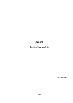 Example of Decision Tree Analysis: A