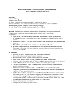 Minutes for Homestead`s School Accountability Committee Meeting