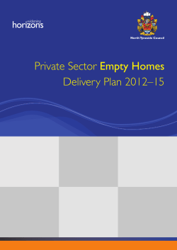 Empty homes delivery plan
