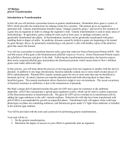 AP Biology Name: pGLO Transformation Introduction to