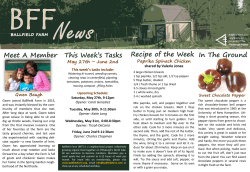 Meet A Member This Week`s Tasks In The Ground