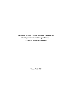 PDF - Taran Patel - The Role of Dynamic Cultural Theories in