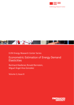 Econometric Estimation of Energy Demand Elasticities