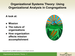 Organizational Systems Theory