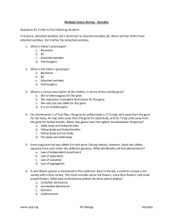 Heredity Multiple Choice | 227.8KB