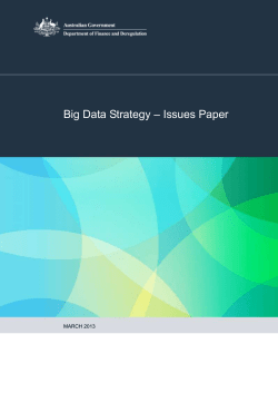 Big Data Strategy – Issues Paper