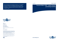 Towards Water 2020 &ndash; policy issues: promoting markets