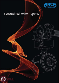 Control Ball Valve Type W