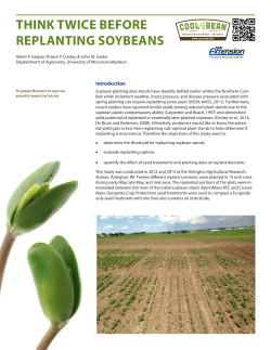 Think Twice Before Replanting Soybeans