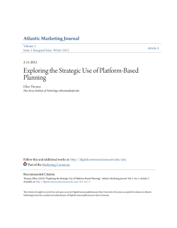 Exploring the Strategic Use of Platform