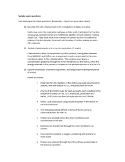 Sample exam questions: Use lined paper for these questions