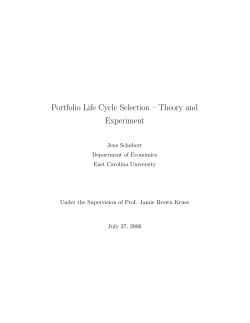 Portfolio Life Cycle Selection &ndash; Theory and Experiment