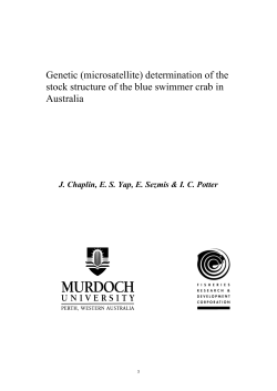 Crab proposal 97 - Fisheries Research and Development Corporation