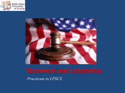 Teamwork and Leadership Practicum in LPSCS